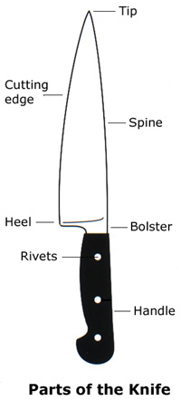 Parts of a Knife Diagram