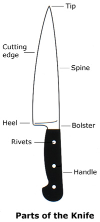 Basic Knife Cuts Chart